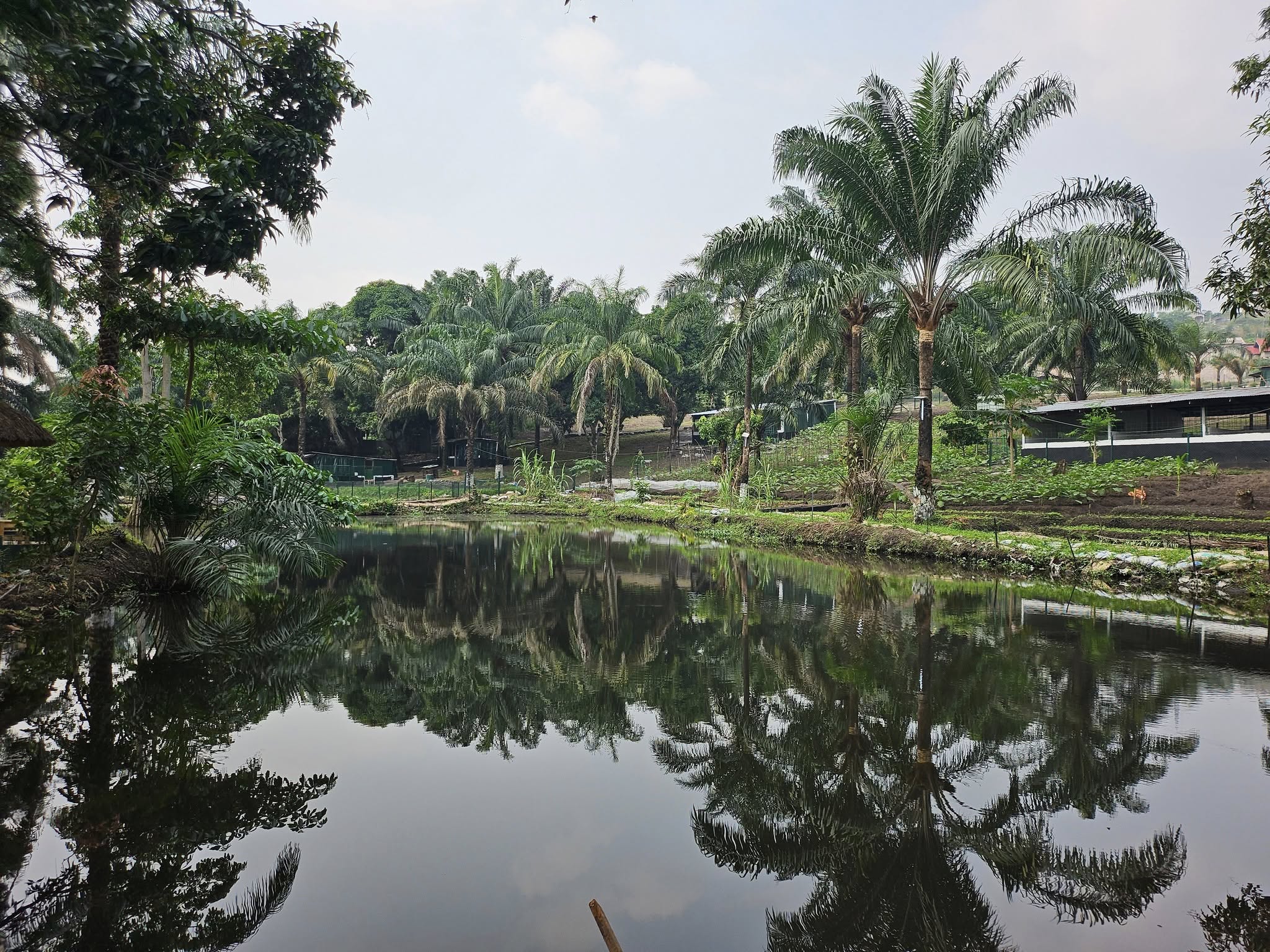 Étang et détente Lototi