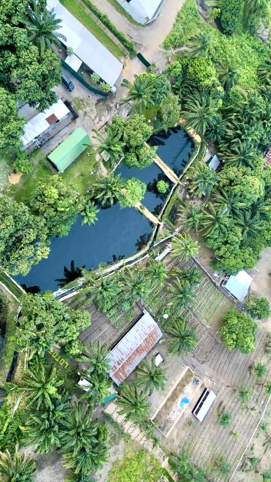 Vue aérienne Ferme Lototi