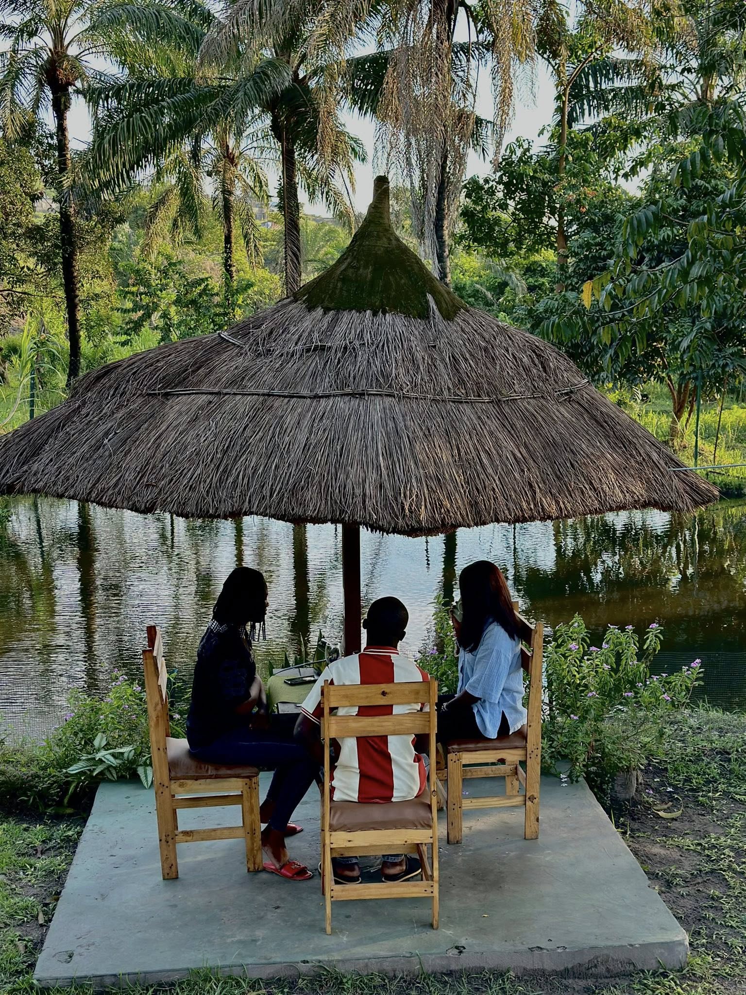 Paillote bord étang Lototi